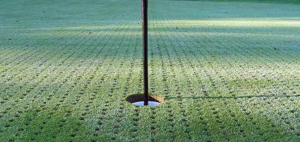 Caribbean golf courses aeration schedule