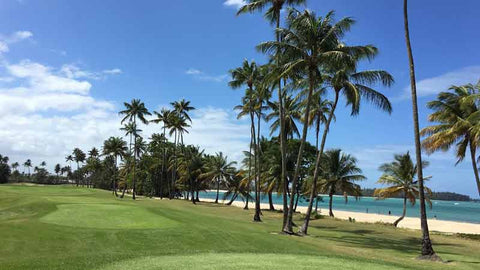 Bahia Beach offers ocean golf holes to play