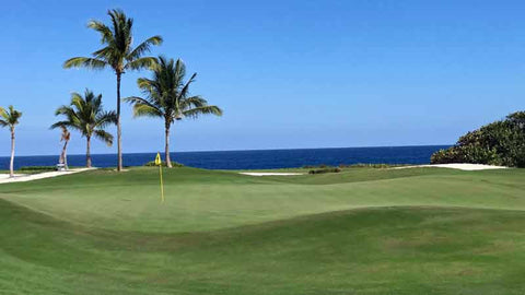 Incredible course conditions at Corales