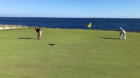 Golf Pro and caddie putting for birdie at Corales
