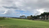 Casa de Campo has 3 golf courses including "Dye Fore"