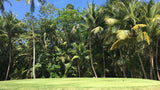 Back nine at Coco Beach International Golf Course